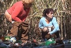 Видео с писающими женщинами на улице