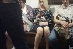 Подсматривает под платье стройной блондинке